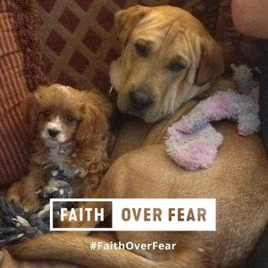 Meet your Posher, Tonya